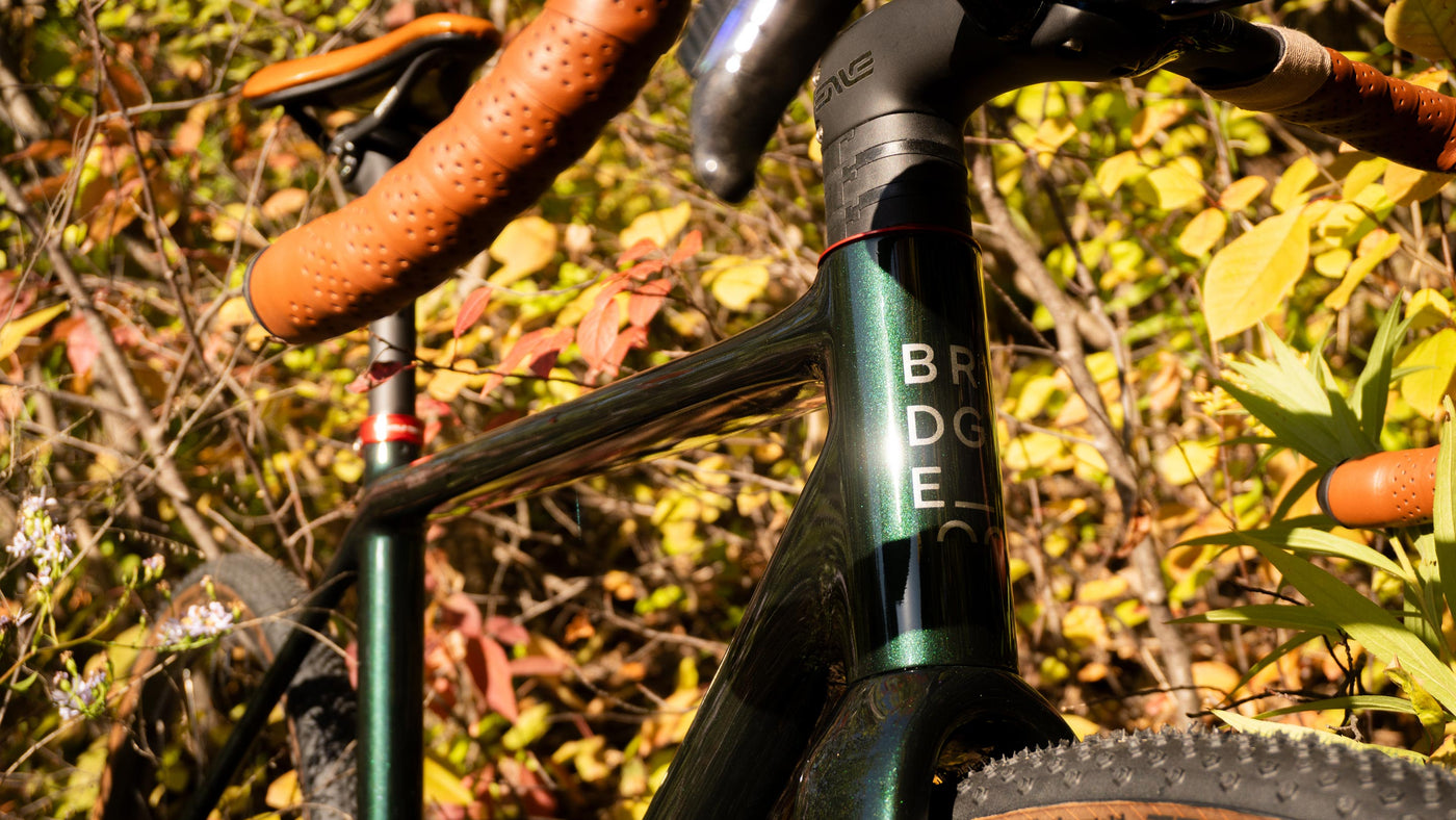 NEW BIKE DAY - FALL COLOURS