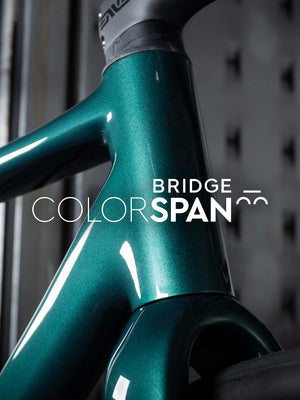 Custom bike paint colors deals
