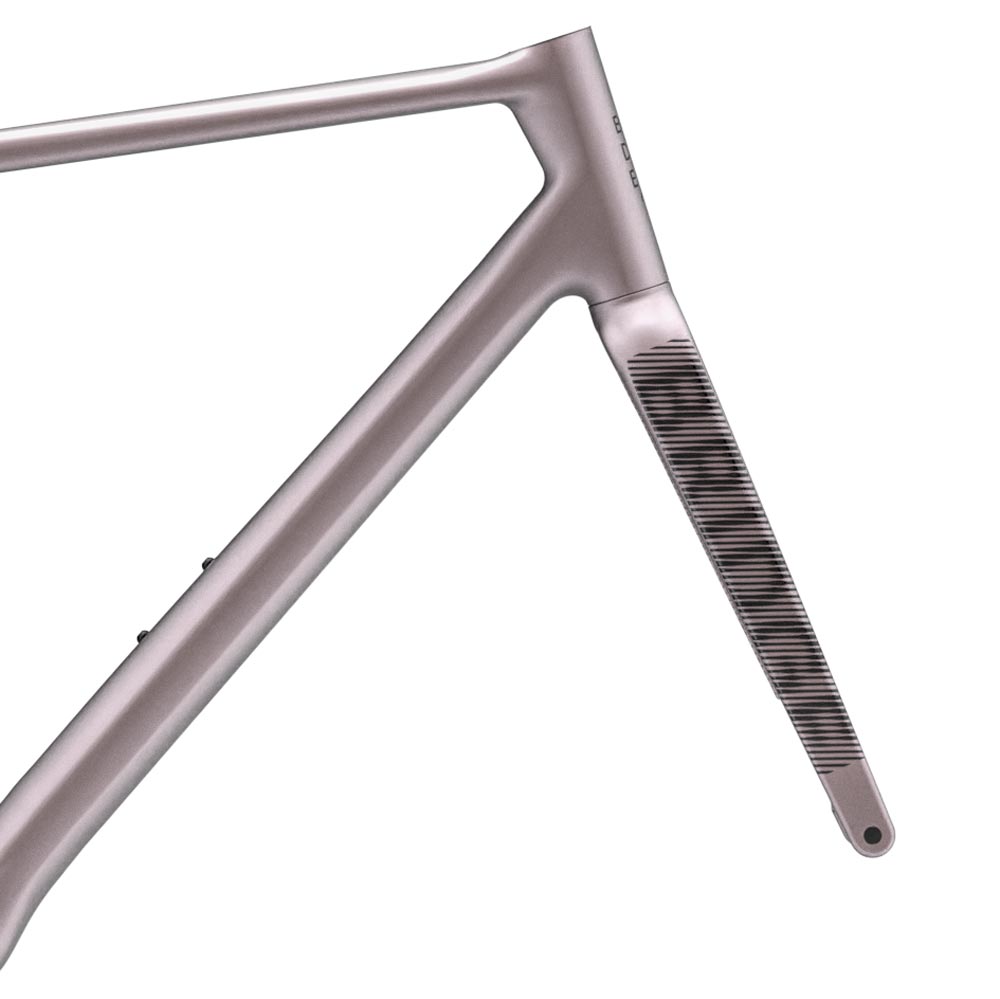 Surveyor Frameset