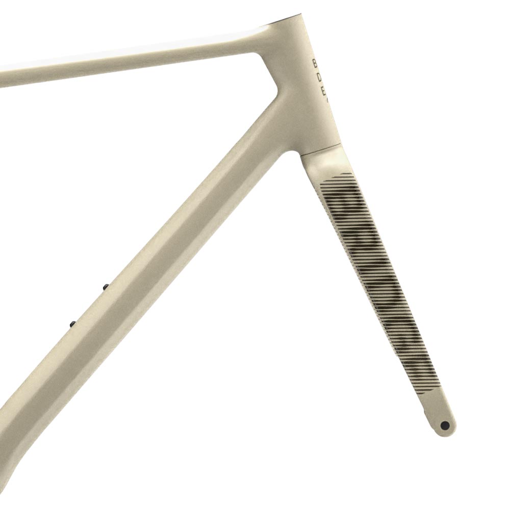 Surveyor - Rival AXS Gravel