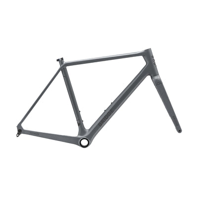 Surveyor Frameset