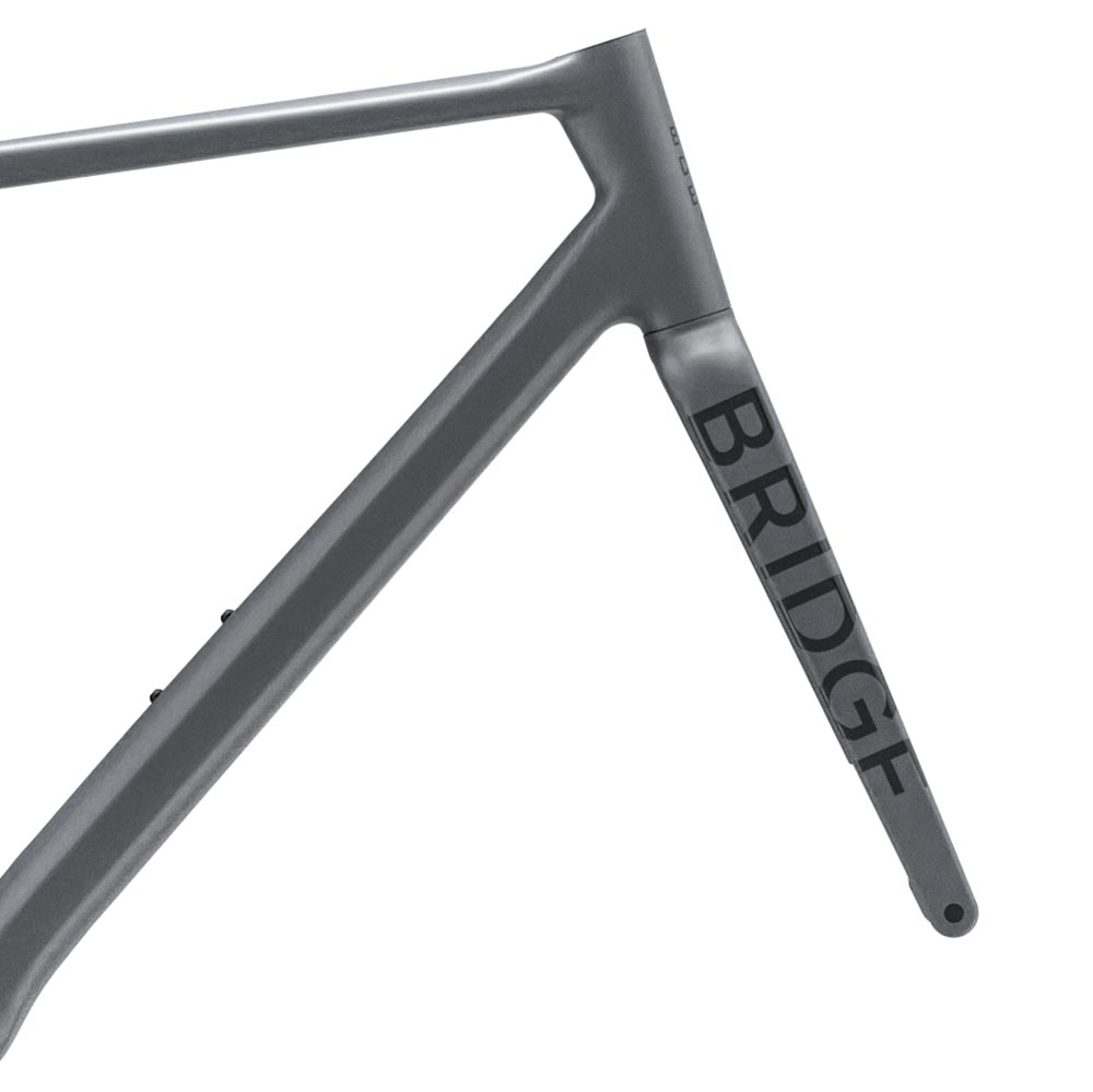 Surveyor Frameset