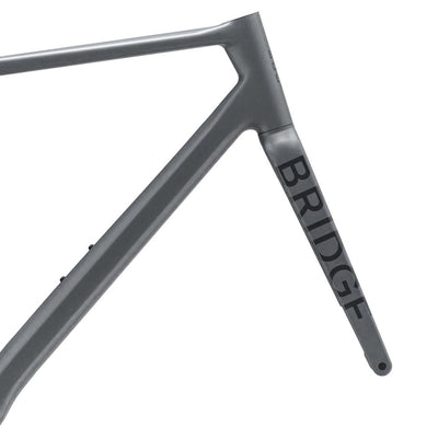 Surveyor Frameset