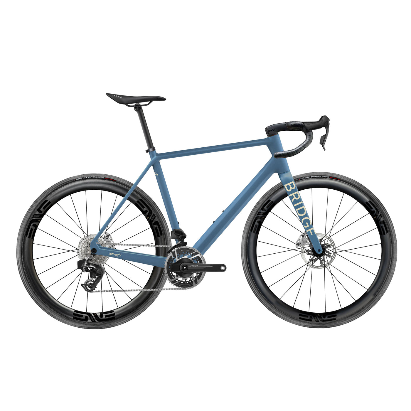 Team Edition Surveyor