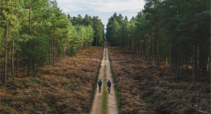 Two bike riders on a track in a forest