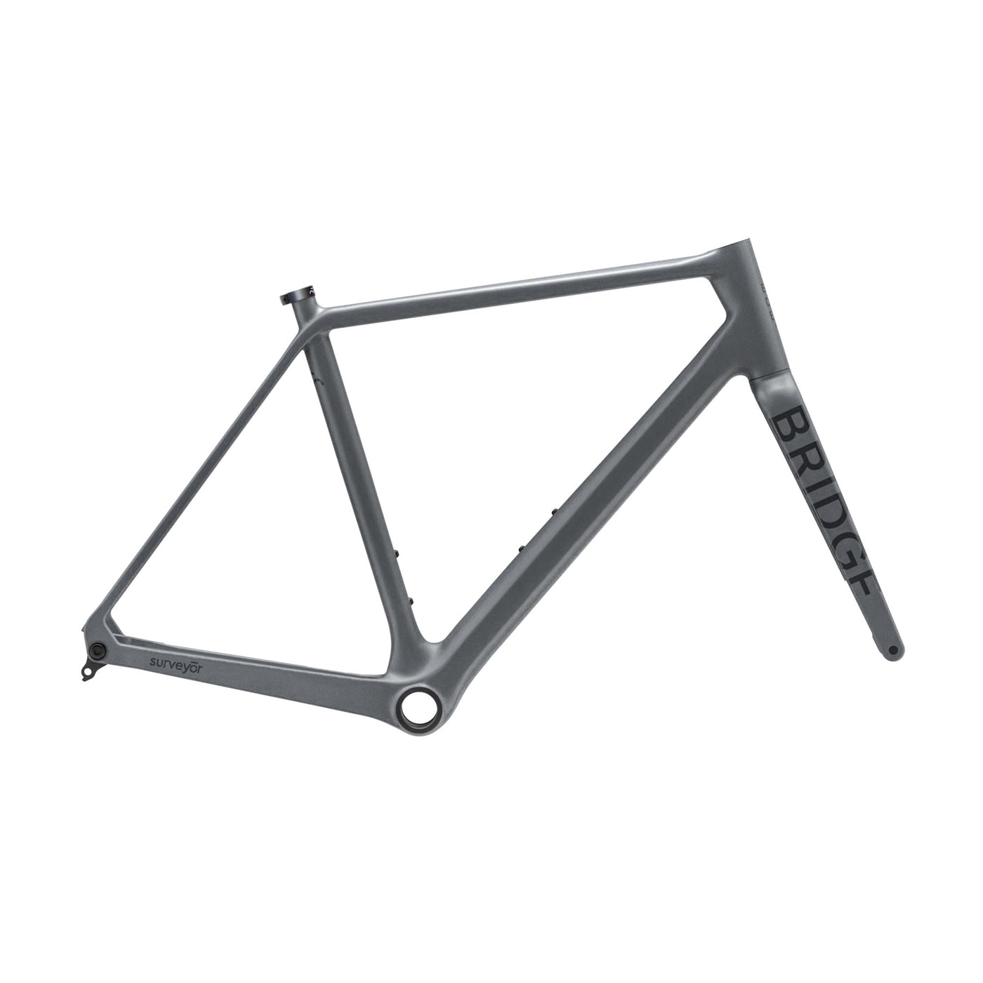 Surveyor Frameset