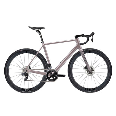 Surveyor - Rival AXS Gravel