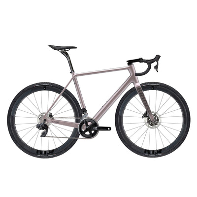 Surveyor - Rival AXS Gravel