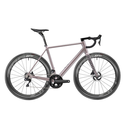Surveyor - Ultegra Di2